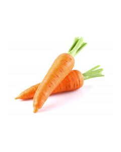 CARROT