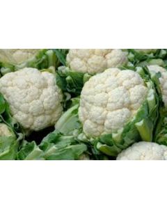 CAULIFLOWER