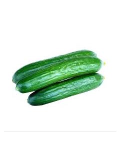 CUCUMBER CH