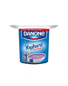 DANONE YOYHURT BLUEBERRY 80GM