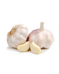 GARLIC
