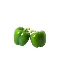 GREEN CAPSICUM