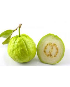 GUAVA