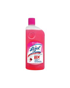 LIZOL DISINFECTANT SURFACE CLEANER FLORAL 2LTR+CITRUS 500