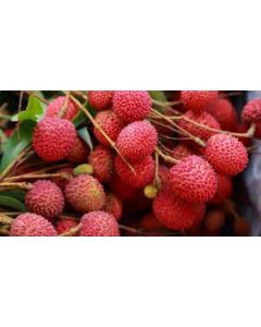 LYCHEE