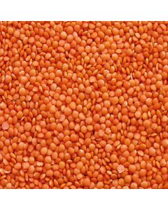MAAYO FOODS MALKA MASOOR DAL 500GM