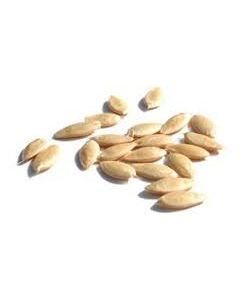 MAGAJ KHARBUJA 100GM