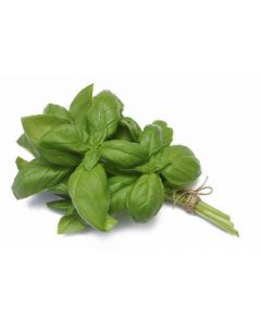 ORGANIC BASIL 26GM