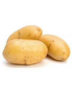 POTATO