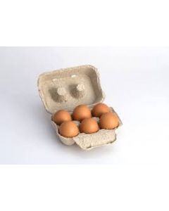DESI EGG PACK OF 6