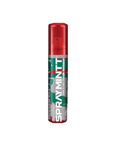 SPRAYMINTT MOUTH FRESHENER THANDAPAAN 15GM