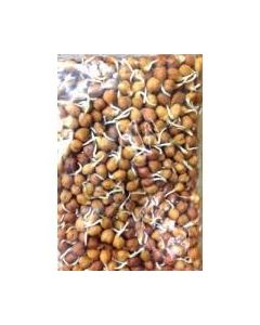 SPROUTS KALA CHANA 190GM