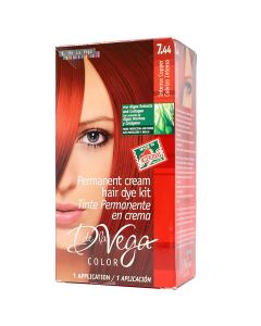 VEGA HAIR COLORING KIT